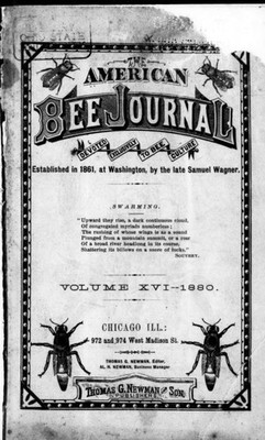 AMERICAN BEE JOURNAL 1880S 486 Unique Issues In PDF Format On USB Flash Drive