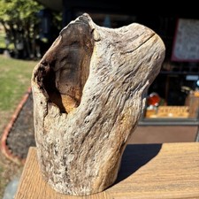 Driftwood with Hollow Knot 9x5x8 Natural Wood Aquarium Terrarium Decor