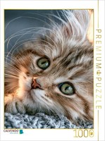 Calvendo Puzzle A Blanket To Snuggle Up With—Just For Me | 1000 Pieces, Finished