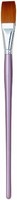 Loew Cornell, 4250f-10, Flat - American Painter Long Handle, New, Free Shipping Loew Cornell, 4250f-10, Flat - American Painter Long Handle, New, Free Shipping