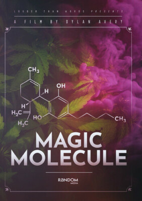 Magic Molecule (DVD, 2019)