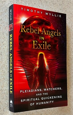 Timothy WYLLIE -- Rebel Angels in Exile (Pleiadians Quickening) -- 2014 1st TPB