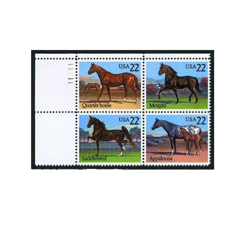 En excelente estado nunca abisagrado/estampillada sin montar o nunca montada caballos sellos de Estados Unidos