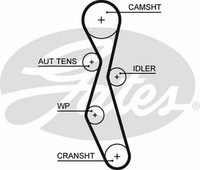 Gates 5606XS Zahnriemen FüR CitroëN, Fiat, Ford, Ford Australien,Lancia,Peugeot
