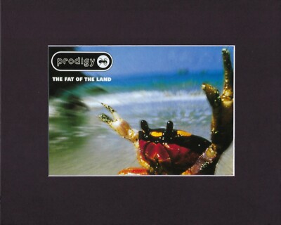 8X10'' Matted Print Picture Album Cover Art Picture: Prodigy, The Fat of the Land