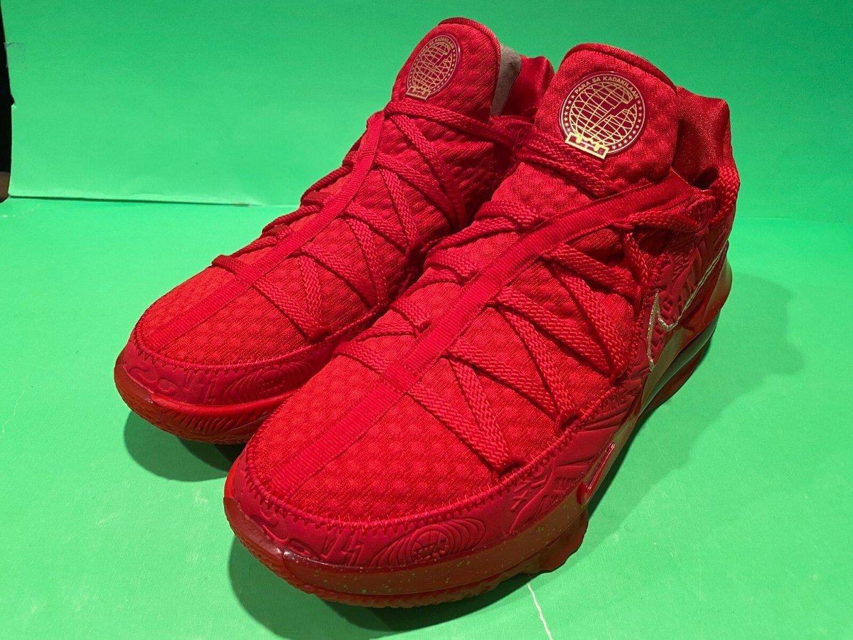 RARE BRAND NEW NIKE LEBRON XVII LOW PH TITAN SZ 10 JORDAN 17