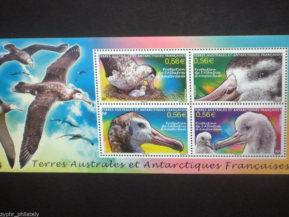 French Antarctic FSAT / TAAF - "BIRDS ~ ALBATROSS" MNH Miniature Sheet MS 2010 - Image 3 of 4