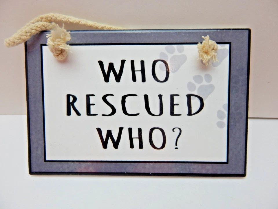 ¿Quién rescató a quién? Placa de cerámica - Nunca exhibida gris y blanco 7 pulgadas de ancho (W283 Foto 2 de 4