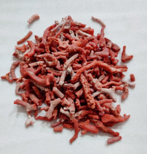 Red Coral Rough Loose Gemstone Natural Italian Sea Coral Rough Branch 50"Crt Lot