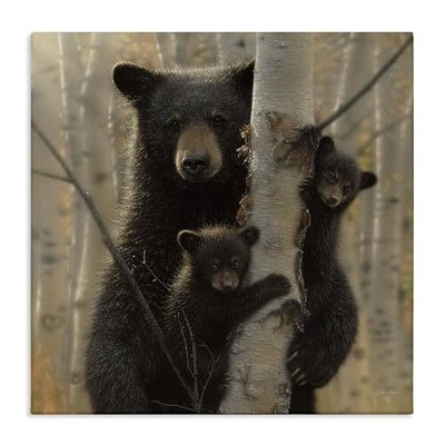 Black Bear and Cubs Soft Birch Tree Forest, Design by Collin Bogle Canvas Wal...