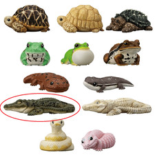 Crocodile Bandai reptiles volume 12
