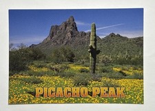 Postal de amapolas doradas de California amarillas de Picacho Peak Arizona sin publicar