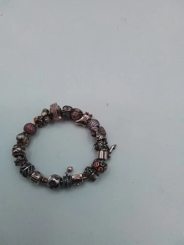 Authentic Pandora 18cm Sterling Silver Bracelet & Full Set of 21 Charms - 925 AL