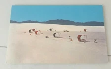 VINTAGE POSTCARD UNUSED PICNIC AREA WHITE SANDS NATL MONUMENT NEW MEXICO