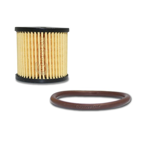 QFS Fuel Filter Kit for HarleyDavidson Road King Electra Glide 61011