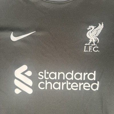 Liverpool 2024/2025 Auswärts Fußballtrikot Herren Medium - Original