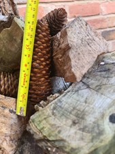 Premium Norway Spruce, pine cones hand selected, pot potpourri, crafts,