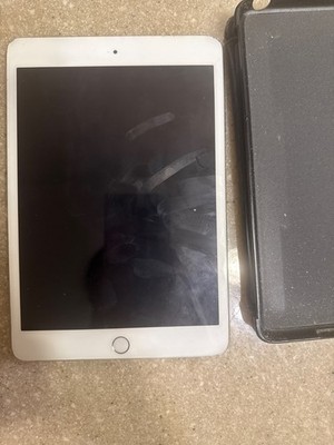 Apple iPad mini (1st generation) in - Starlight