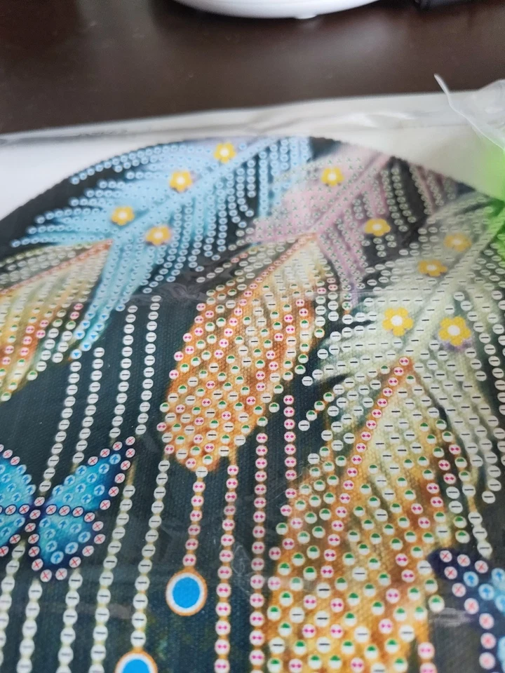 Diamond Painting 5D DIY PARTIAL 30x30cm 🐝 FEATHERS 89 🐝 Free Post - Imagem 2 de 2