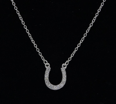 Beautiful New Rhinestone Lucky Horseshoe Necklace #N2255NT