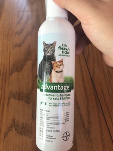 advantage flea shampoo