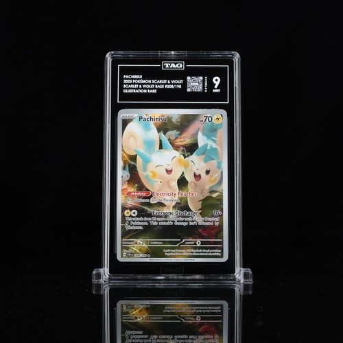 Pachirisu graded TAG 9 for sale on eBay