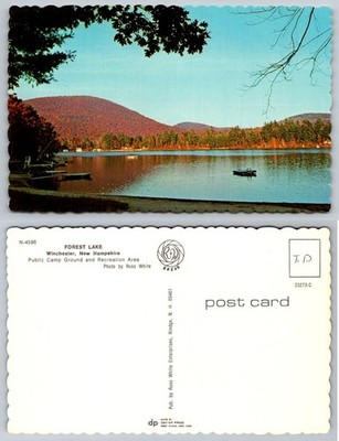 Forest Lake Winchester NH Postcard Public Camp Ground Autumn Foliage