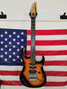 Washburn Floyd Rose | eBay