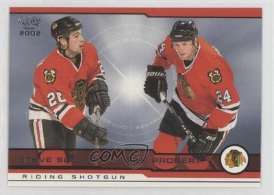 2001-02 Pacific Riding Shotgun Steve Sullivan Bob Probert #407 00hi