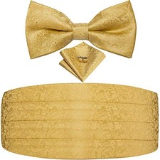 Mens Cummerbund and Bow Tie Set Paisley Floral Pretied Bowties for Men A Gold