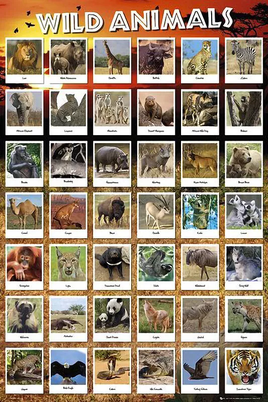 Wild Animals Chart: Early Learning Educational Chart by Wonder House Books  PB