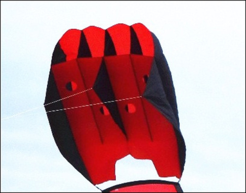 3 square meters Outdoor Toys Arrival 3D Kite Nylon Power Socks/Inflatable Kite