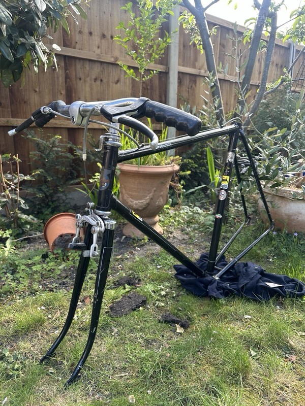 Bottecchia Carbon Frameset Fast Road Bike with Aero Rim and Brake