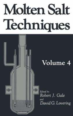 Molten Salt Techniques by Robert J Gale: New