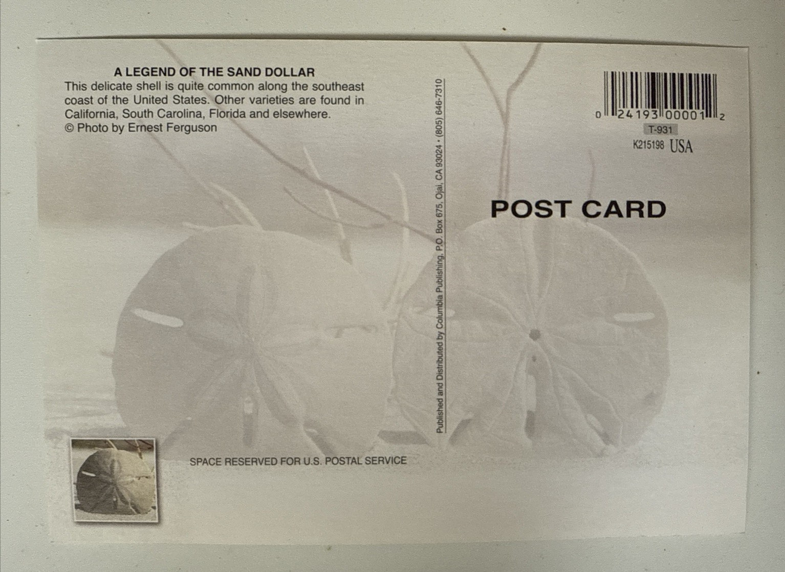 Postcard A Legend of the Sand Dollar  Post Card
