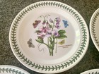 4 Assorted Portmeirion Botanic Garden Dinner Plates 10.5” — photo 4