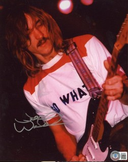 Joe Walsh chitarrista musicista firmato 8x10 The Eagles foto a colori AUTO BAS Beckett