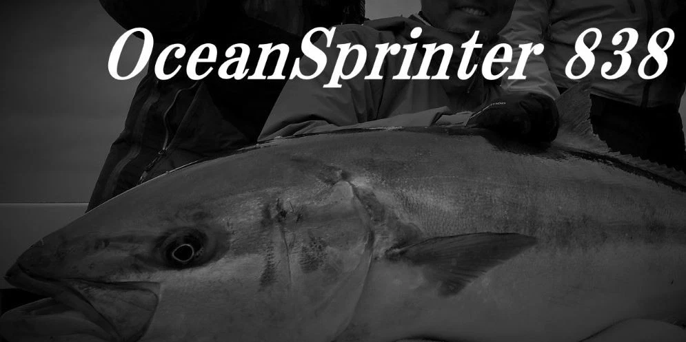 Truth Rod Spinning 838 Ocean Sprinter Japan (2306)