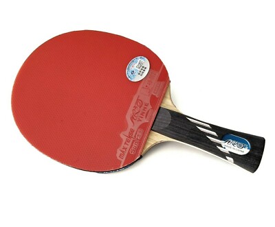 Yinhe 10B table tennis racket + cover ping pong carbon paddle shake-hand