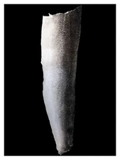 Single One Salmon Leather Fish Skin Supple Matte Natural