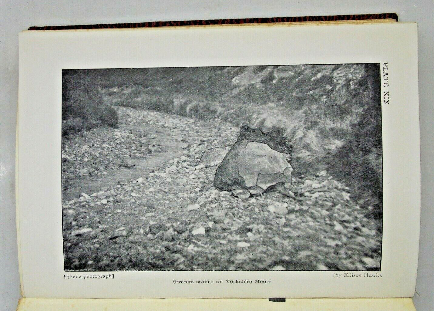 Picture 8 of 12
