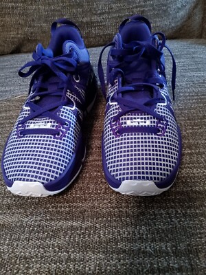 Nike LeBron James Witness 7 TB: Unleash Your Inner self hard to find never worn 