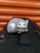  on The Hot Collector