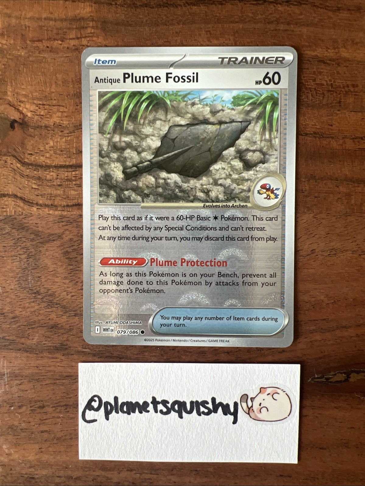Antique Plume Fossil 079/086 79- Pokeball Reverse Holo - White Flare - NM