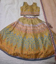 Toddler Girls Indian Partywear Multicolour Printed Silk Lehnga Choli Set Sz 20