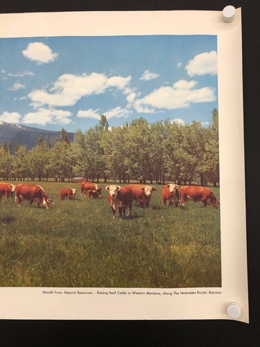 Northern Pacific Railroad West. Montana (1950er-60er Jahre) - Original Poster - 22" x 28" - Bild 3 von 3