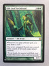 Mtg Magic Card The List Gilt-Leaf Archdruid English NM