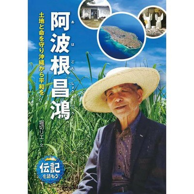 Awane Masahiro Land & Peace Activist Figurine Excellent For Ages 14+