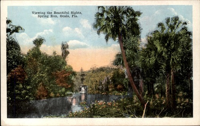 #ad #ad Ocala Florida FL Steamboat Spring Run c1915 Vintage Postcard $9.89