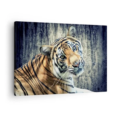 Cuadro Sobre Lienzo 70x50cm Cuadros Pared India piedra tigre salvaje Wall Art - Imagen 1 de 4